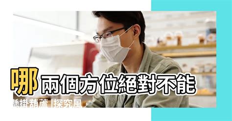 葫蘆開口 方向|哪兩個方位絕對不能懸掛葫蘆 